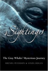 Sightings The Gray Whales' Mysterious Journey Cover